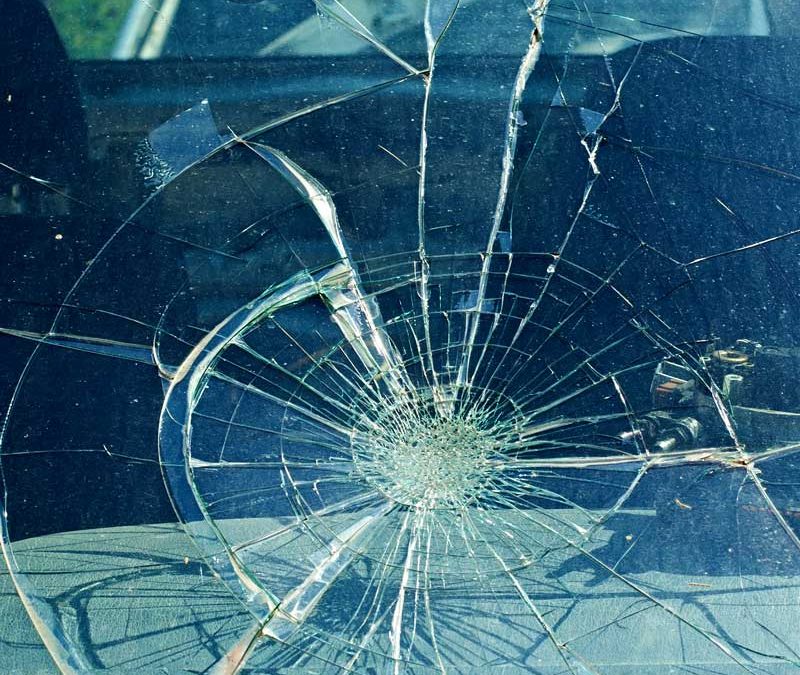 Hit a Deer What Ohio Drivers Need to Know About Windshield Damage and Insurance Claims
