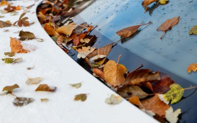 The Impact of Weather on Auto Glass: How to Protect Your Windshield Year-Round
