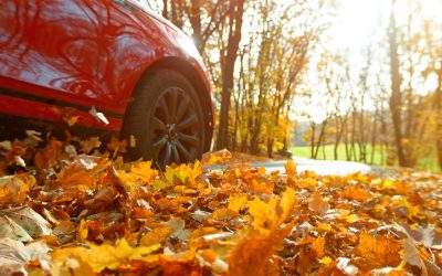 Seasonal Tips: Preparing Your Windshield for Fall and Winter