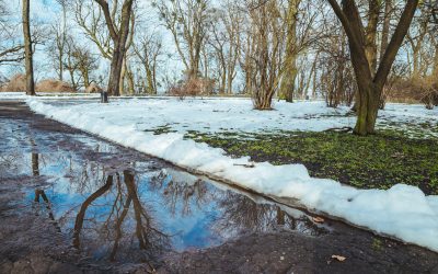Preparing Your Windshield for January Thaw: Maintenance Tips for Ohio Drivers